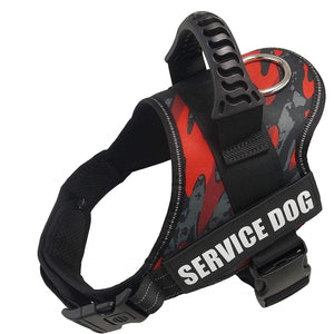Higgly's No Pull Dog Harness (personalized)